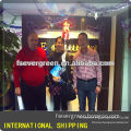 ocean freight from foshan warehouse shipping to ZEEBRUGGE Belgium